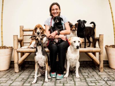 The Flip Flop Dog Trainer