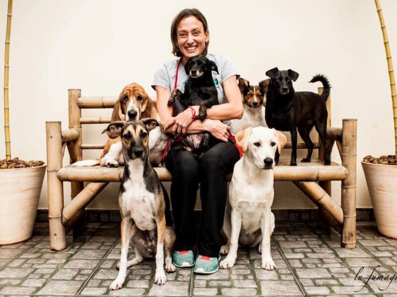 The Flip Flop Dog Trainer